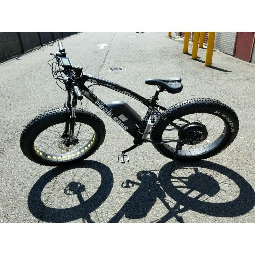 pedalease fat bike 1500w